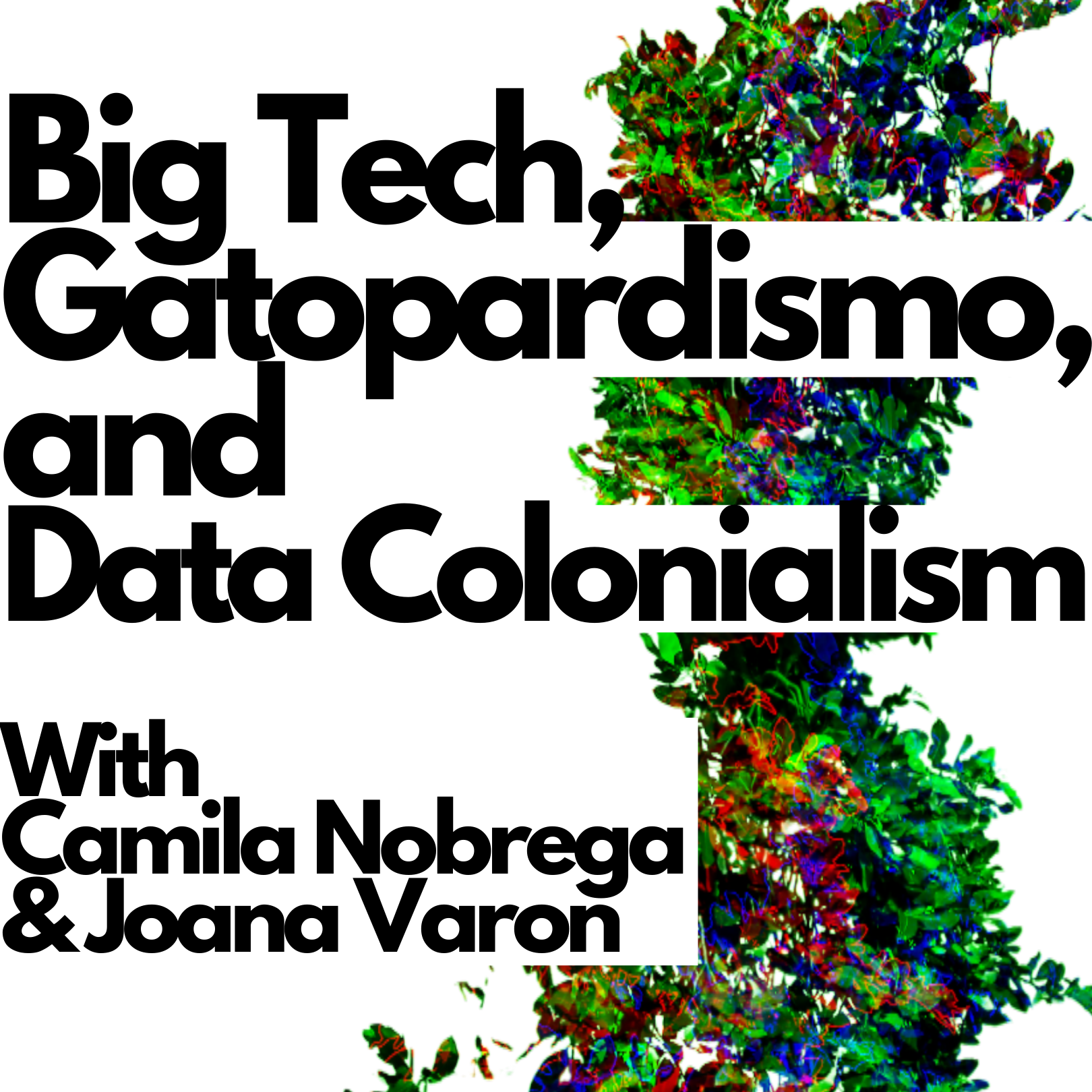 Podcast: Big Tech, Gatopardismo and Data Colonialism (With Camila Nobrega and Joana Varon)