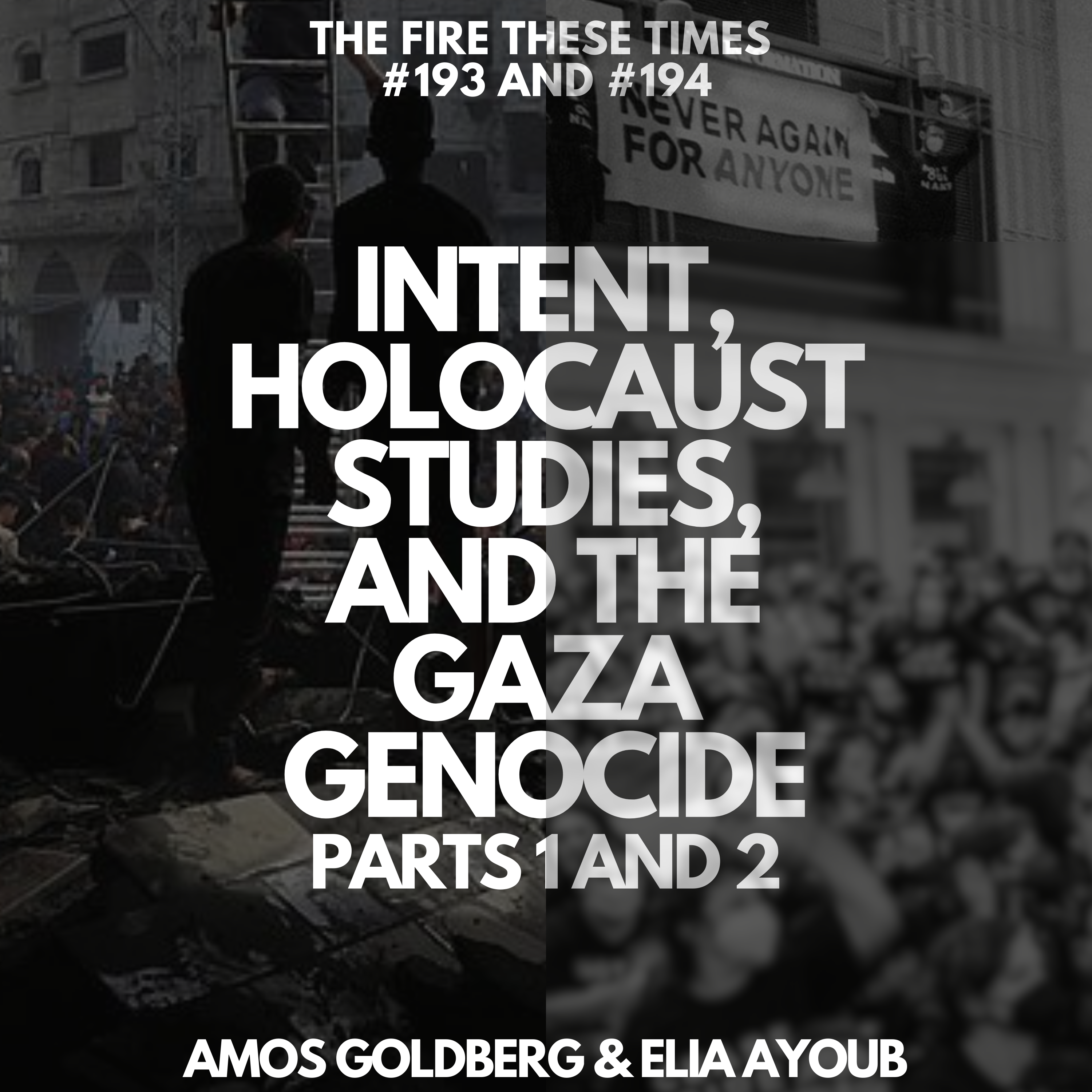 Intent, Holocaust Studies and the Gaza Genocide w/ Amos Goldberg